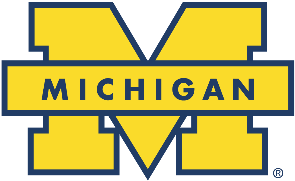 Michigan Wolverines 1996-Pres Secondary Logo DIY iron on transfer (heat transfer)...